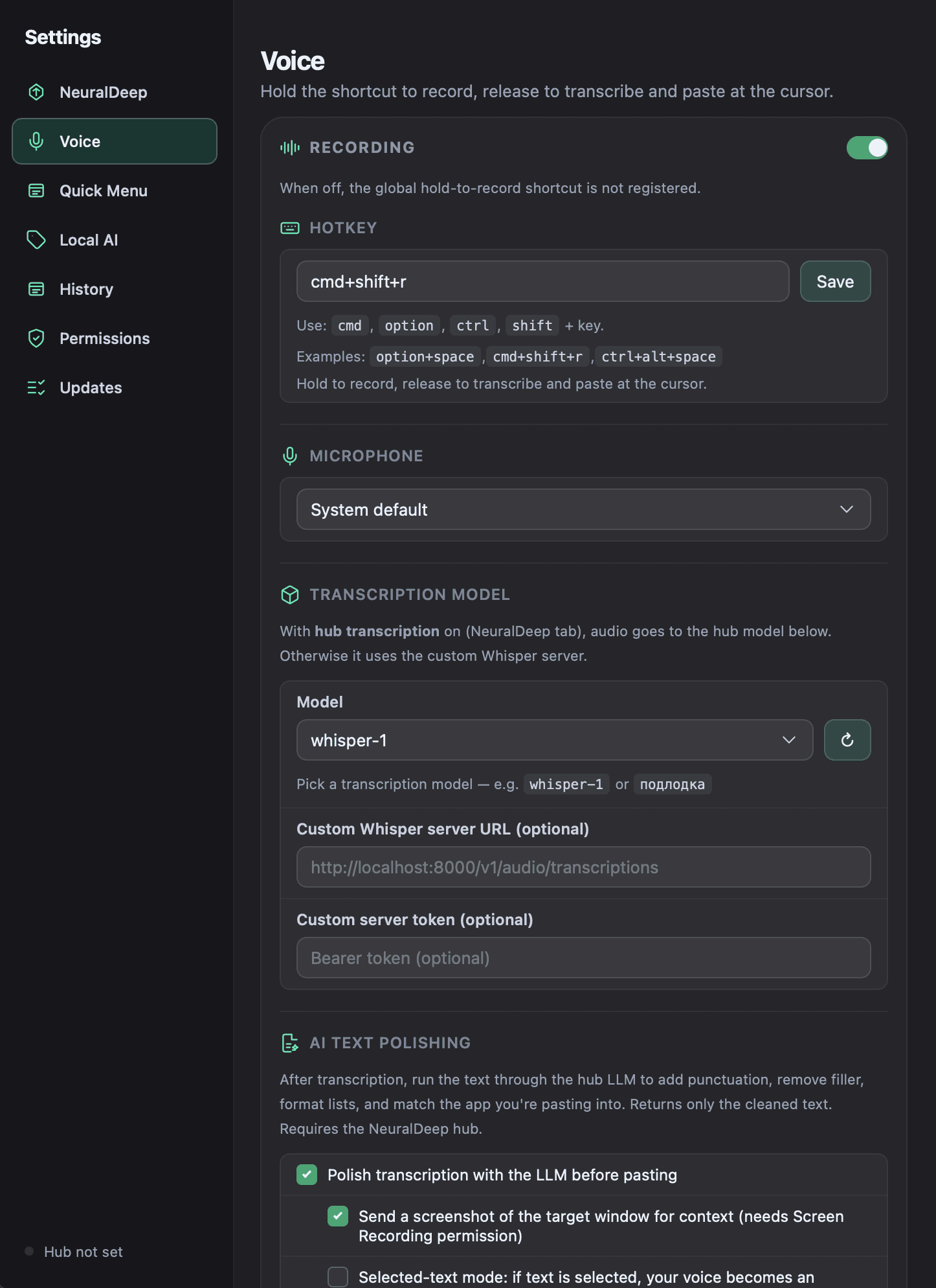 Voice settings with transcription and AI polish options